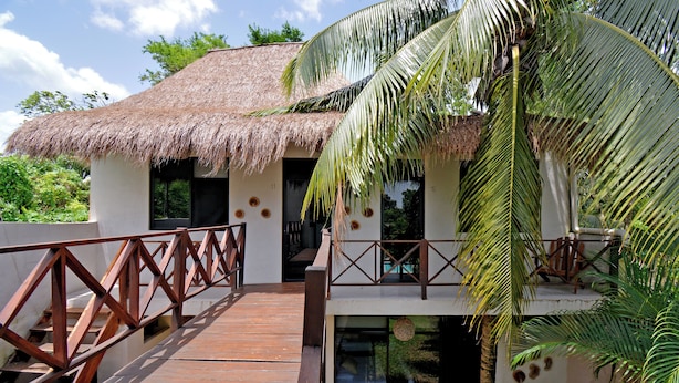 A thatched-roof building with a wooden deck and a palm tree. - Casa Delia Hotel (Bacalar)