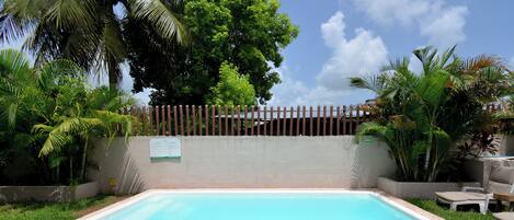 A rectangular swimming pool with a concrete edge, surrounded by lush green grass and palm trees.