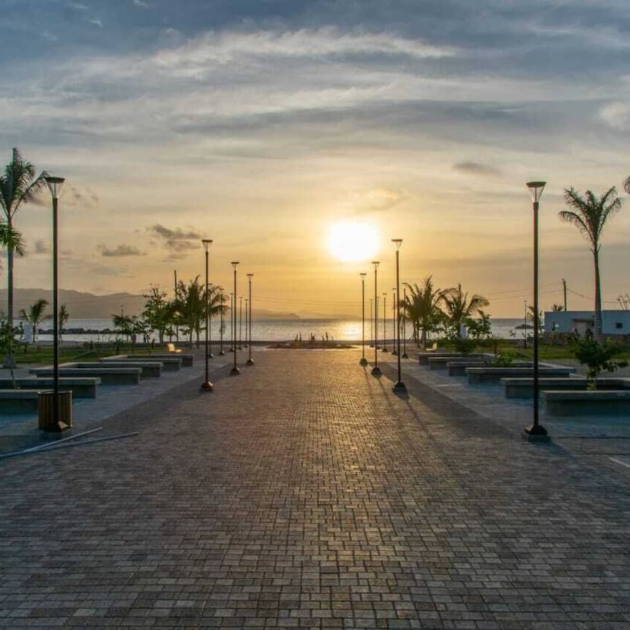 A paved walkway with street lamps and palm trees, leading towards a sunset over a body of water.