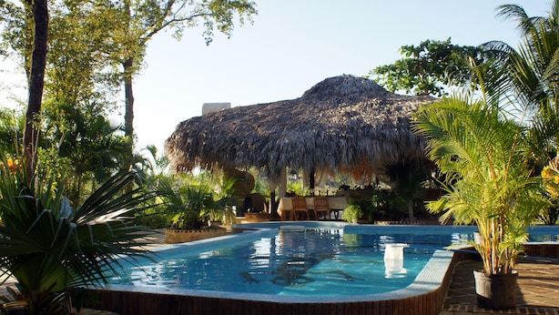 A swimming pool with a thatched roof structure, surrounded by palm trees and a wooden deck. - Villa Madera (Cabarete)