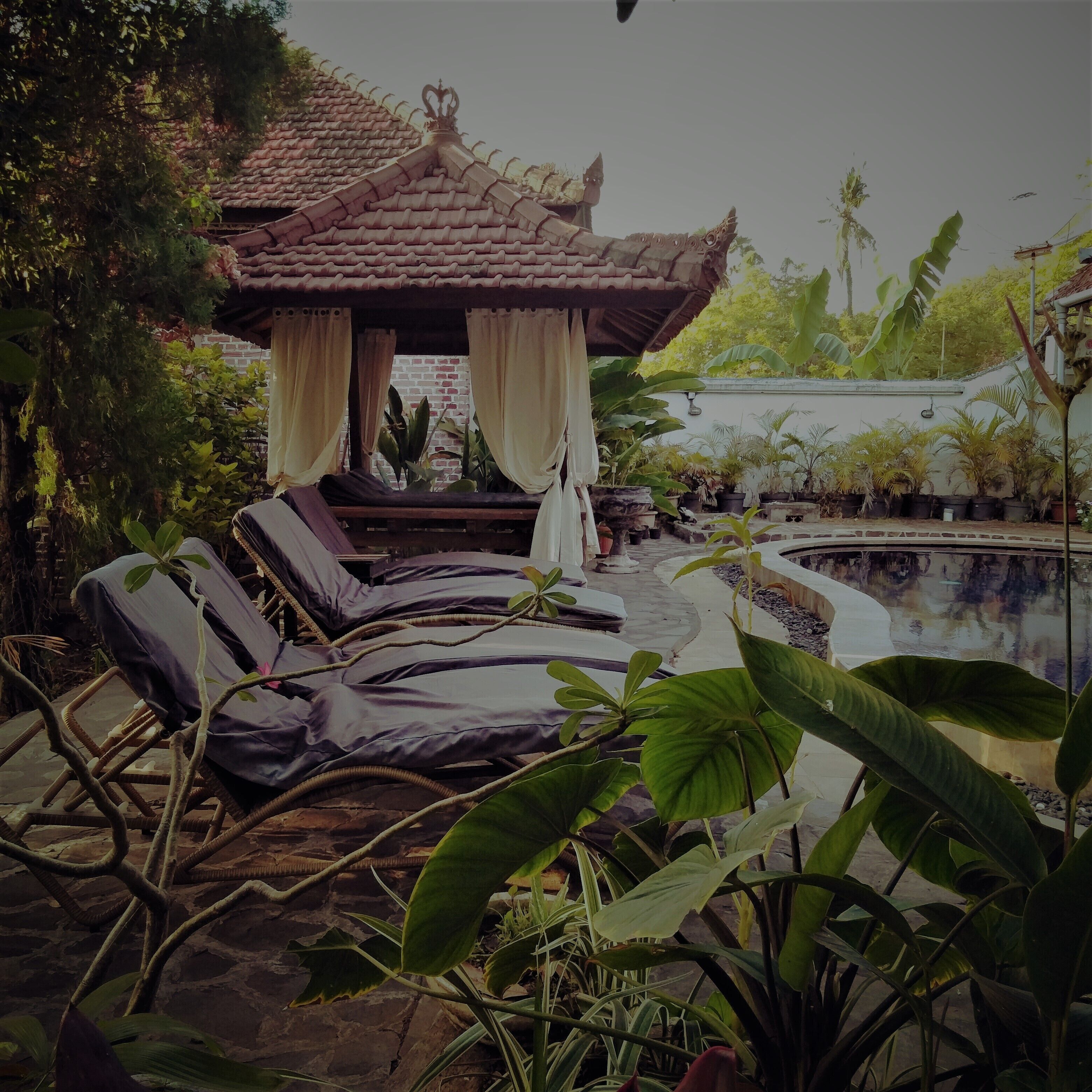 Jardines del alojamiento