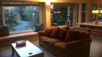 TV, fireplace, books, stereo