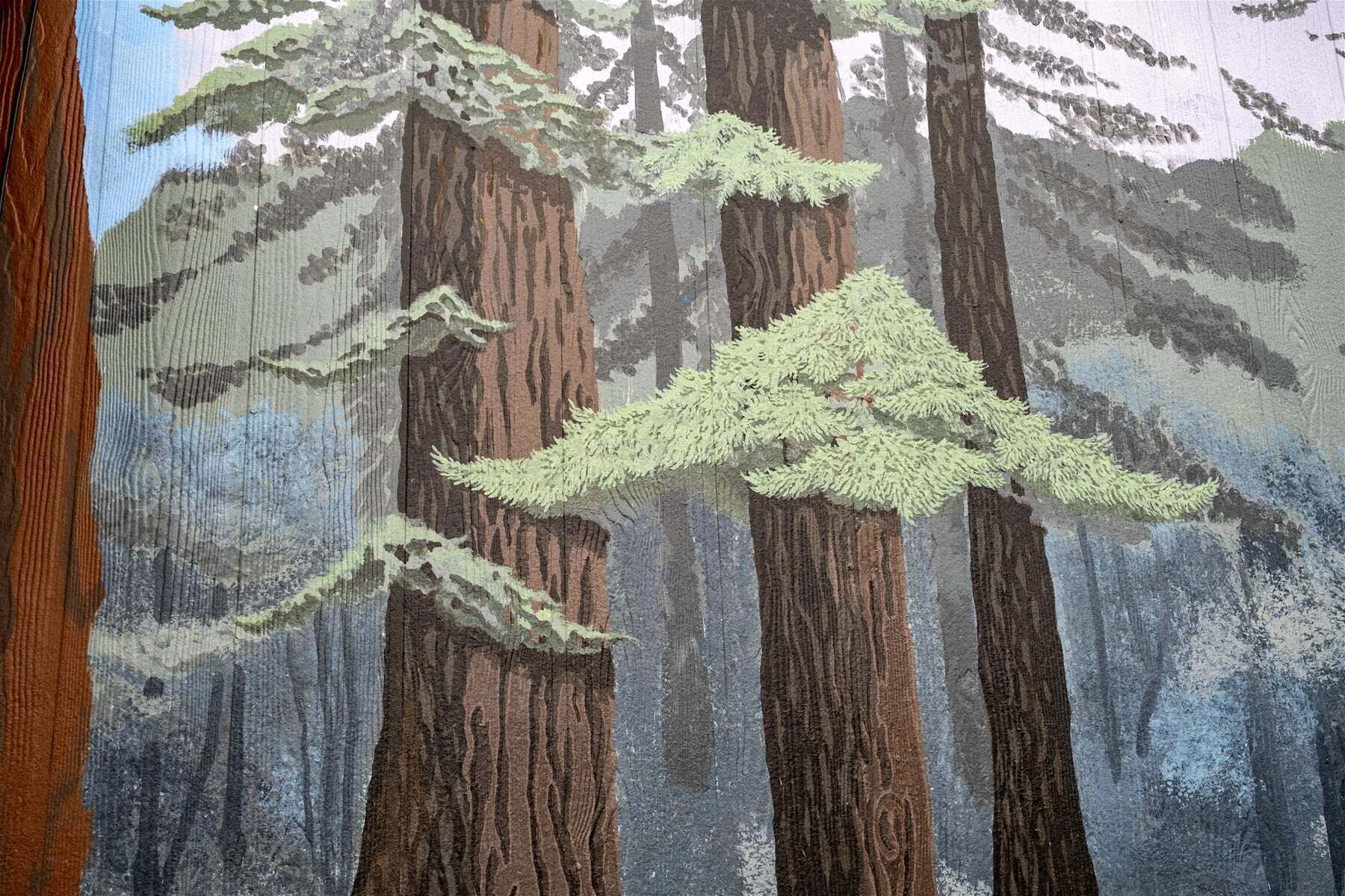 Une scène de forêt avec de grands arbres et un feuillage dense.