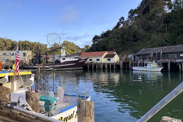 Pacific Blue - You will never walk the plank at the Poop Deck