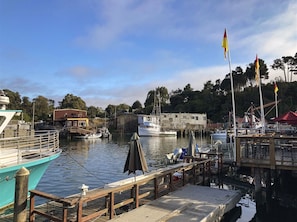 Marina