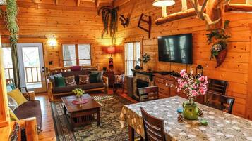 TV, fireplace, DVD player, video library