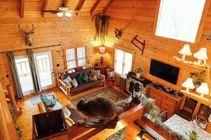 TV, fireplace, DVD player, video library