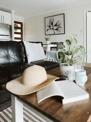 Smart-TV, peis, Netflix og DVD-spiller