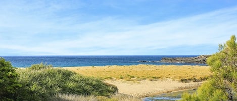 A beach with a clear view of the ocean, sandy shore, and some greenery.