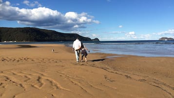Playa en los alrededores, camastros y toallas de playa