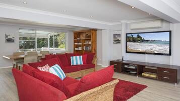 TV, fireplace, Netflix, streaming services