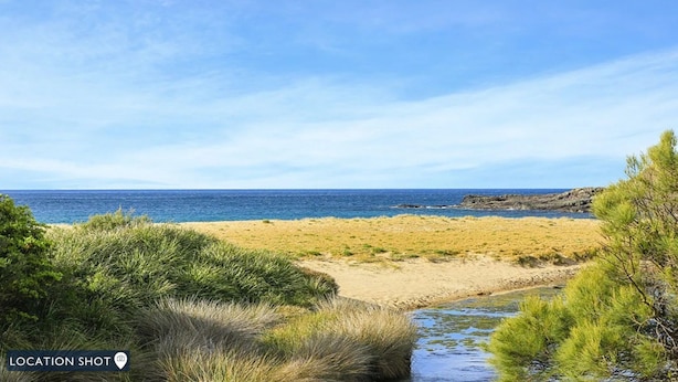 A beach with a clear view of the ocean, sandy shore, and some greenery. - Kendalls Beach Escape (Kiama)