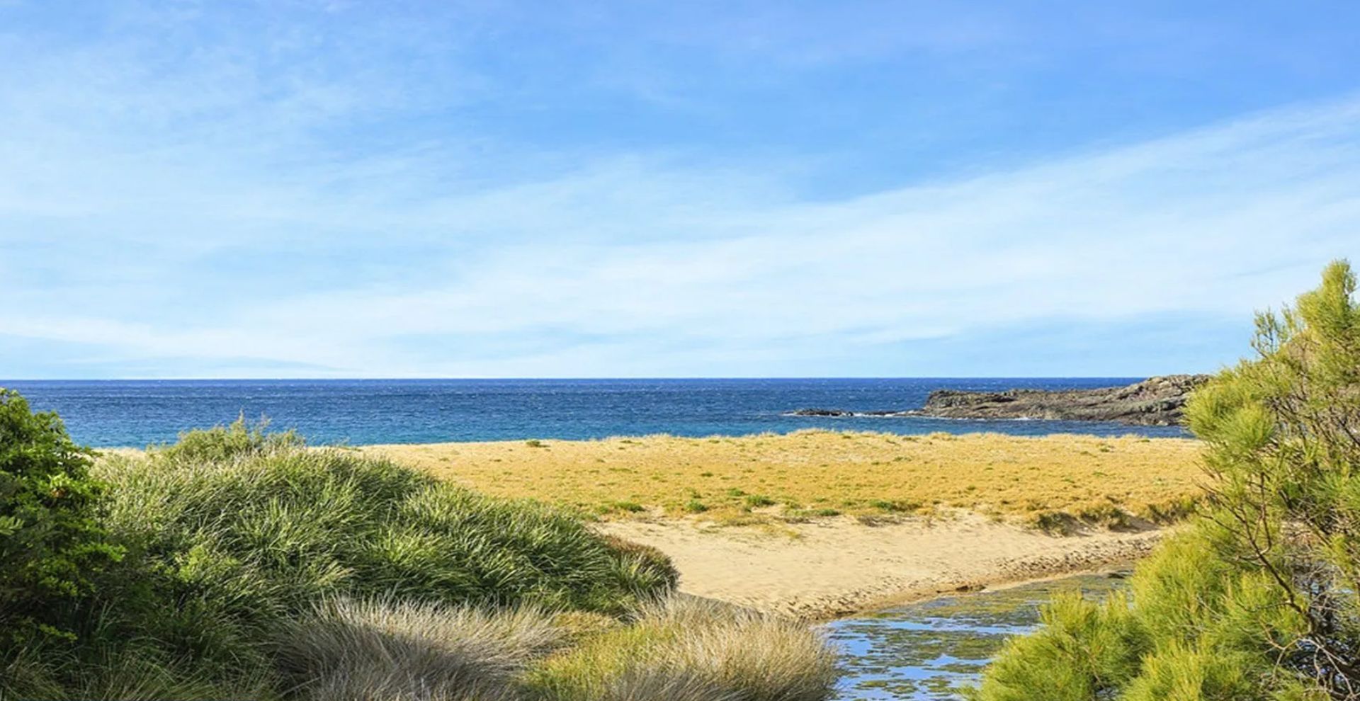 En strand med krystalklart havudsyn, sandet bredde og lidt grønt.