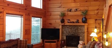 TV connectée, cheminée, lecteur de DVD, livres