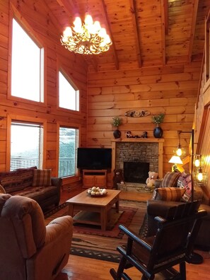 智能电视、壁炉、DVD 播放器、书