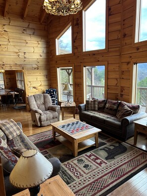 智能电视、壁炉、DVD 播放器、书