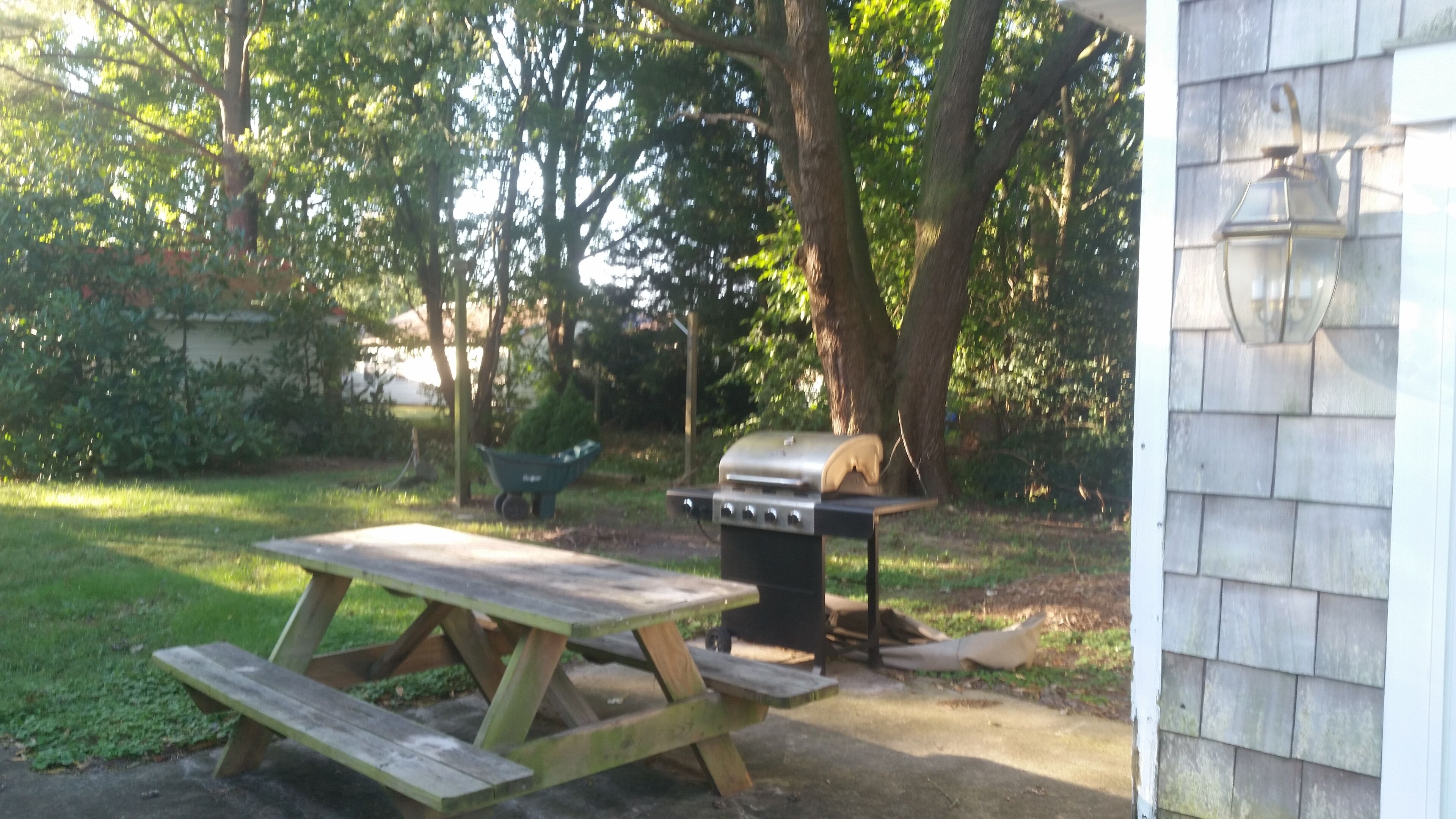 Ein Holztisch mit Bänken, ein Grill und ein Schubkarren in einem Garten mit Bäumen und einem Haus im Hintergrund.