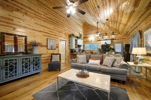 TV, peis, Netflix og DVD-spiller