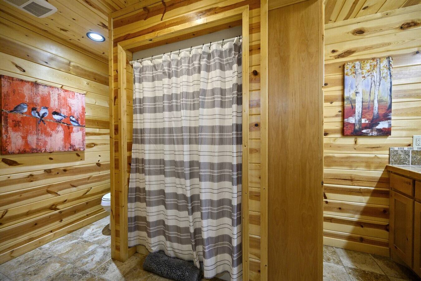 A wooden cabin interior with a striped shower curtain, a painting of birds, and a painting of trees.