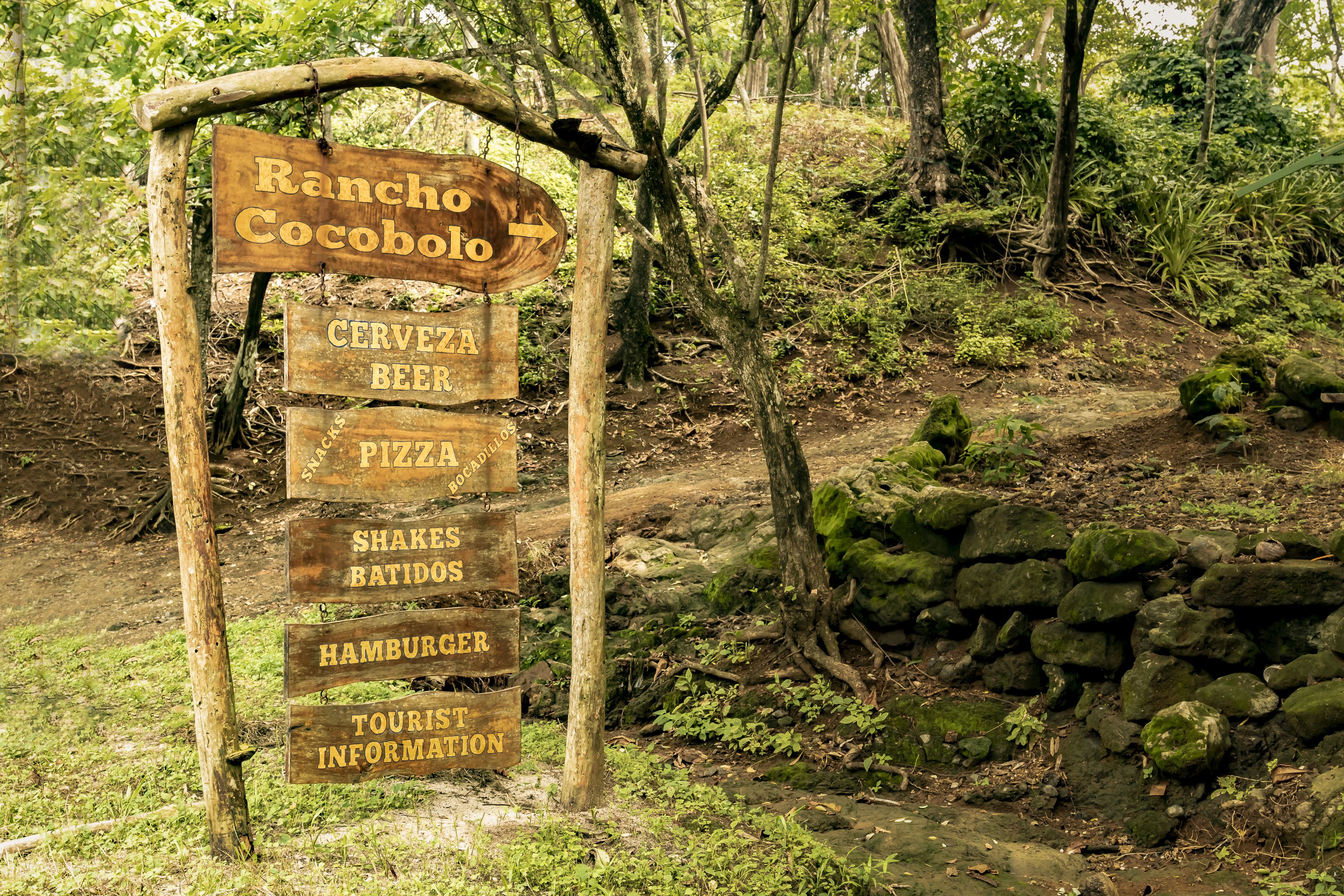 A wooden signpost with multiple directional arrows and text indicating nearby attractions and services.
