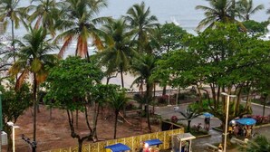 Vista de la playa con palmeras, una carretera y un estacionamiento.