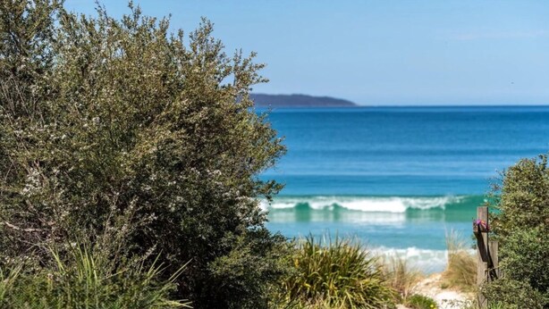 A coastal landscape with dense greenery and a clear view of the ocean.