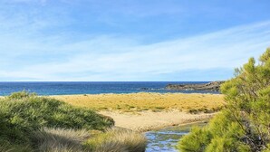 Eine Küstenlandschaft mit Sandstrand, einem kleinen Bach und üppiger Vegetation.
