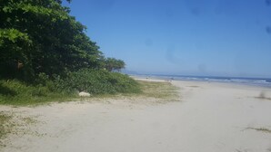 A beach with a clear sky, sandy shore, and dense green foliage. - 4 SUITES WITH ARCOND SPLIT, WI-FI, SKY, SOLARIUM POOL. NEAR THE BEACH (Bertioga)