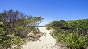 Uma trilha arenosa que leva a uma praia, cercada por vegetação densa.