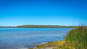 Un lago tranquilo con cielo despejado, una isla verde distante y una orilla cubierta de hierba.