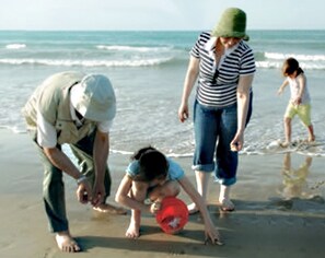 Plage à proximité, chaises longues, serviettes de plage