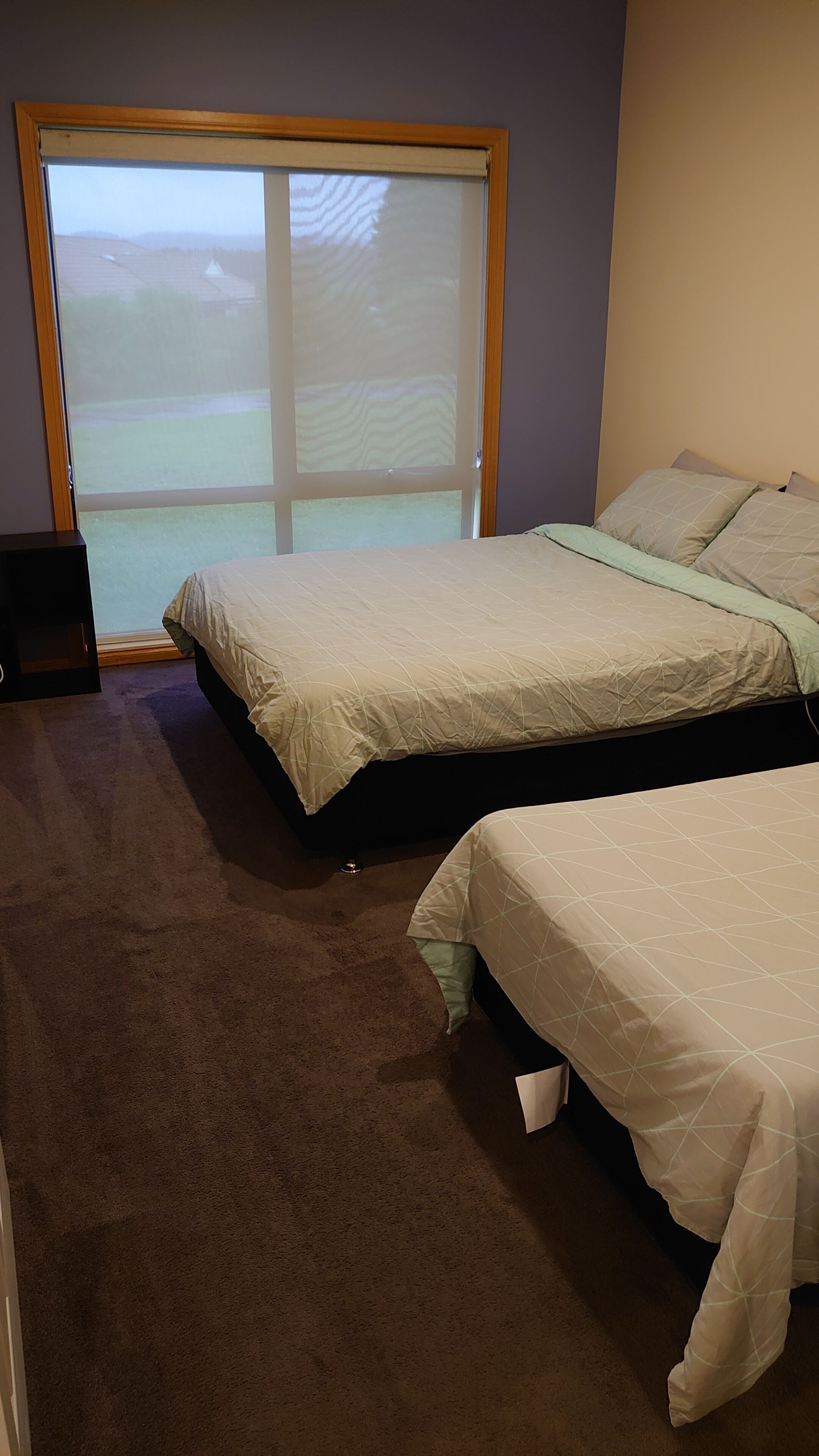 A bedroom with two beds, a large window, and a carpeted floor.