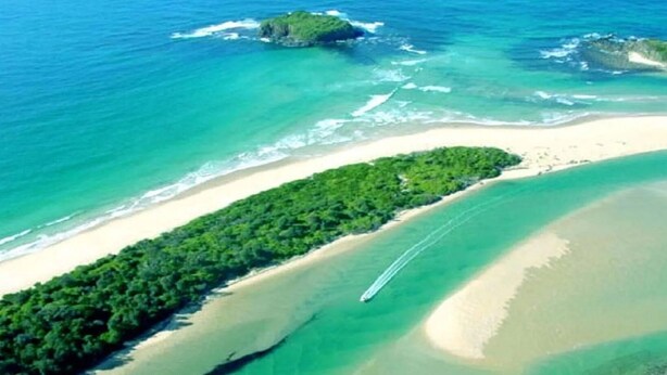 Vista aérea de una zona costera con playa arenosa, un denso bosque verde y aguas azules cristalinas.