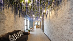 Un pasillo con flores moradas colgantes, un sofá marrón oscuro con cojines estampados y un piso de madera.