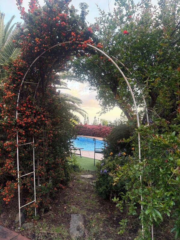 Alberca al aire libre 