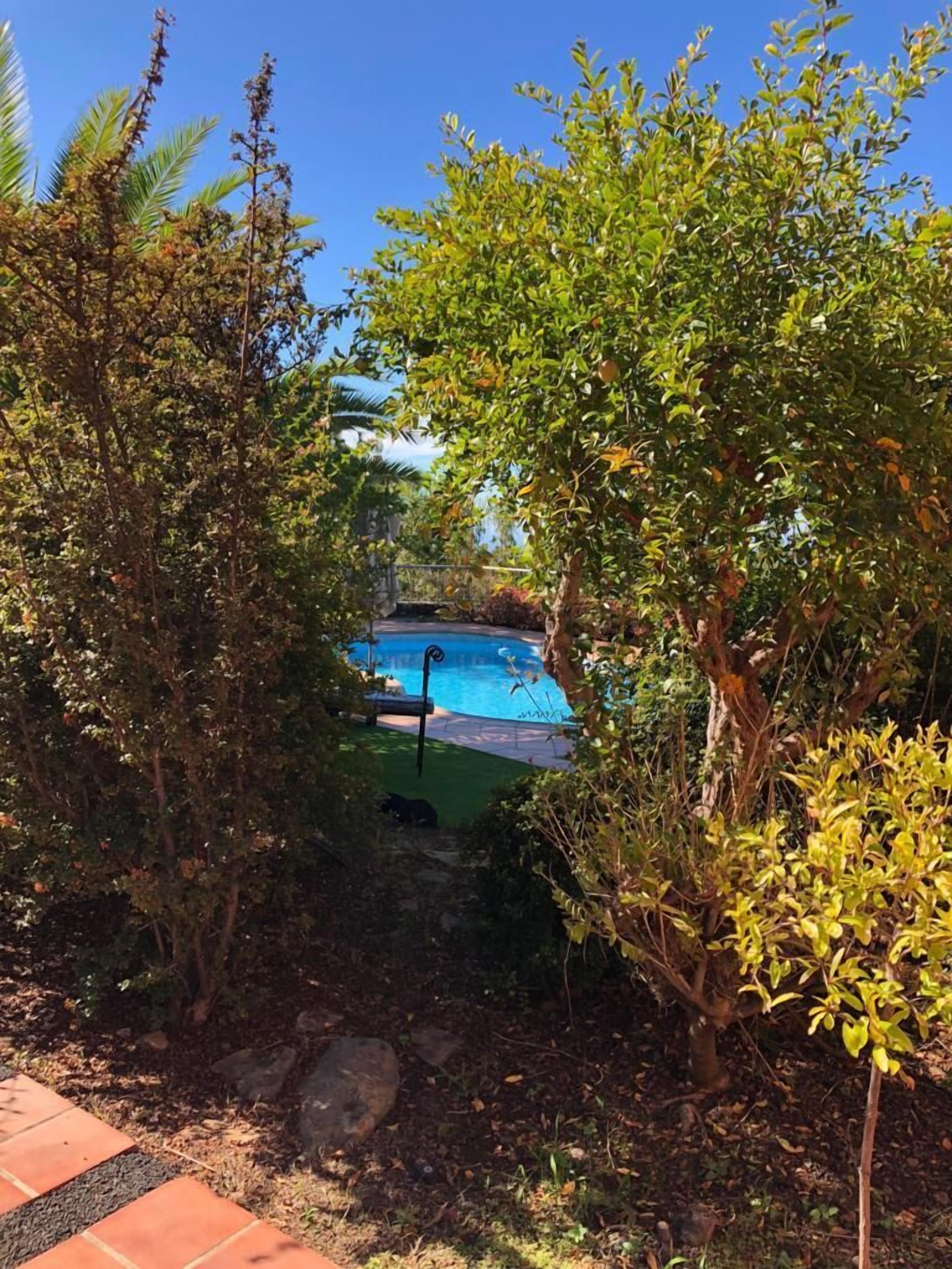 Una piscina circondata da vegetazione rigogliosa e un cielo azzurro limpido.
