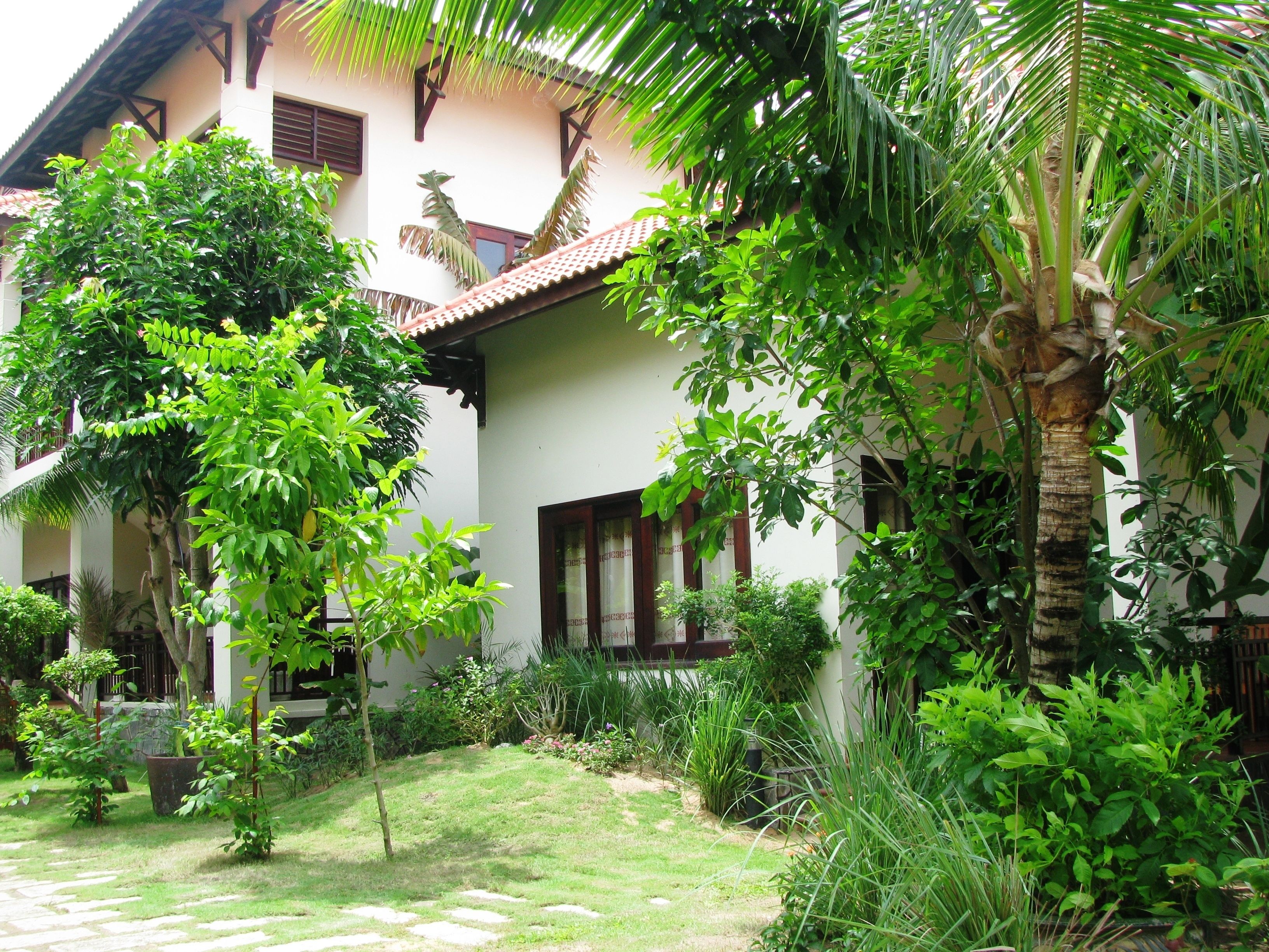 A house with a garden, a palm tree, and a pathway.