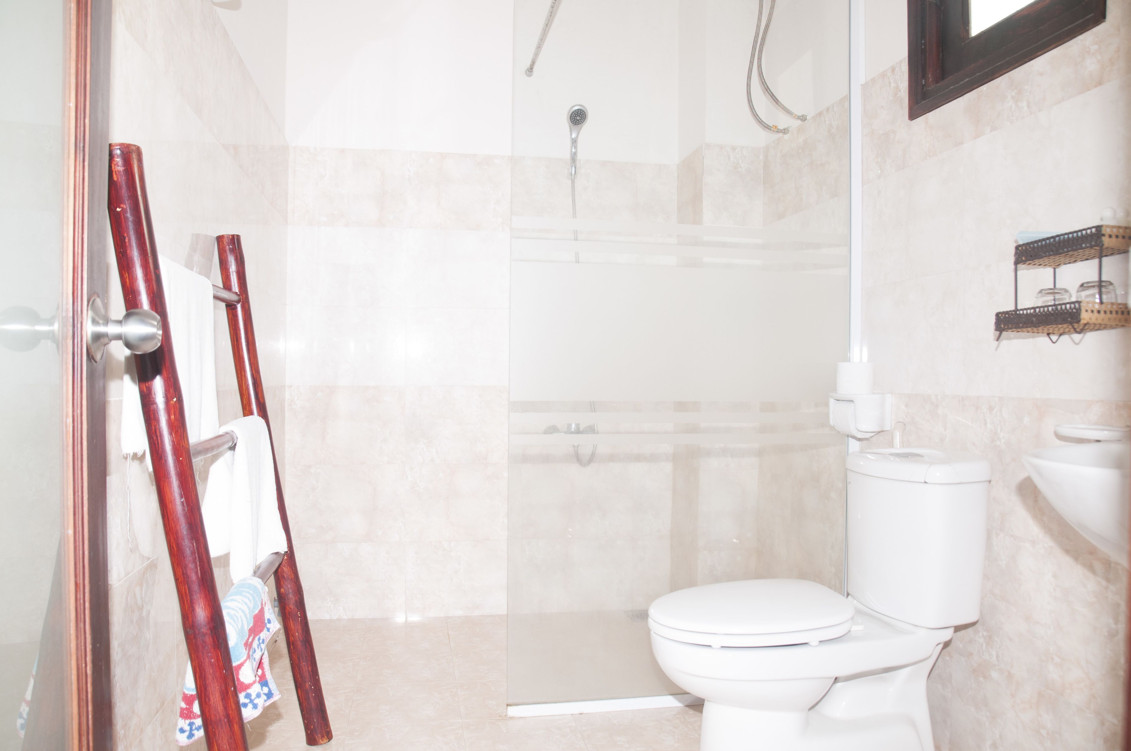 Un baño con ducha, inodoro y una escalera de madera apoyada en la pared.