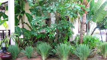 Vườn