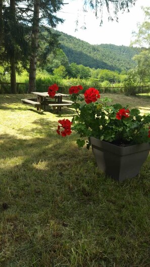 A picnic table set in a grassy area with a large planter of red flowers in the foreground. - Chalet - MurolHouse with character (Murol)
