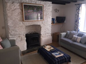 TV, fireplace, DVD player, books - HOWTON COTTAGE - village cottage on coast path next to beaches (Cawsand)