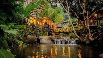 Standard River View | View from room