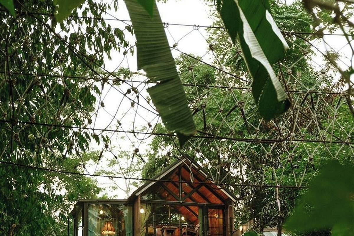A multi-level wooden house surrounded by dense greenery and a stream.