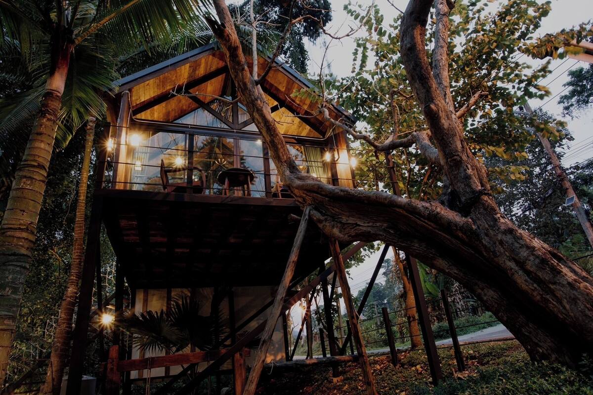 A treehouse with a wooden exterior and glass windows, surrounded by trees and foliage.