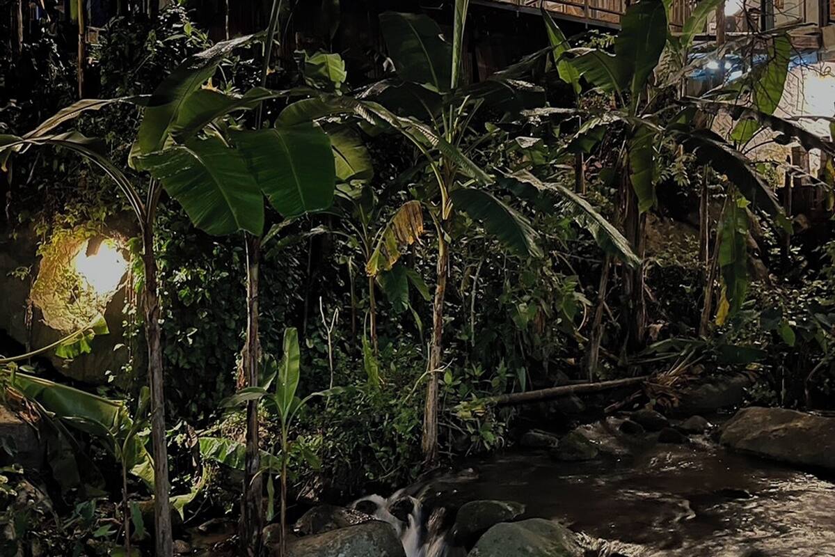 A night scene of a rustic wooden house with a waterfall in the foreground, surrounded by lush greenery.