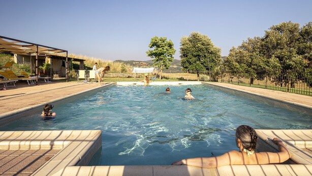 A swimming pool with people and a dog, surrounded by a fence and trees. - Apartment I Reucci Trilo2 (Pomarance)