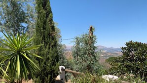 Un jardín con diversas plantas y una vista despejada de montañas distantes.