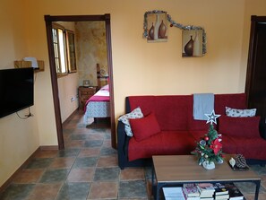 Televisión, reproductor de DVD y libros 