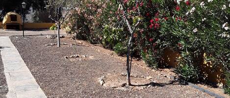 Overnattingsstedets uteområder