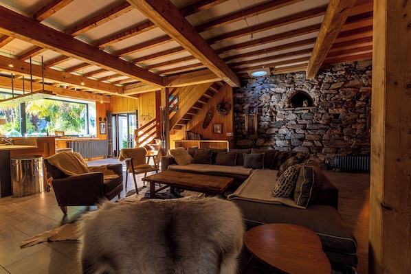 TV, fireplace, DVD player, books - Mansion - Aste Béon (Aste Béon)